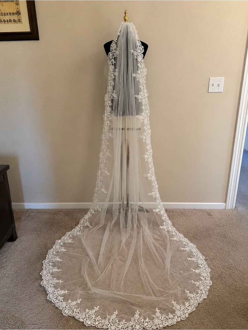 Elegant White Lace-Edged Bridal Veil - Long Cathedral Style